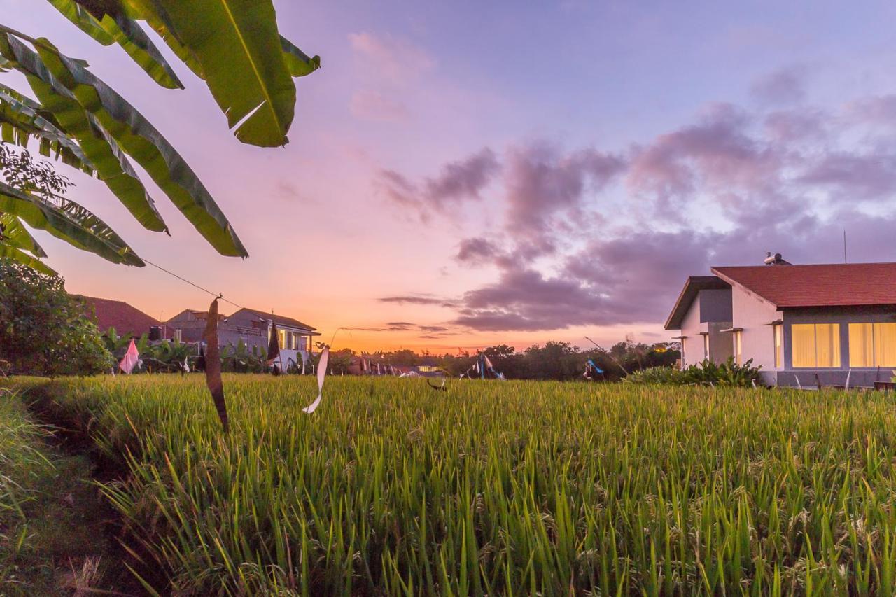 Charming Ricefield View 3 Bedrooms Villa Canggu Eksteriør bilde